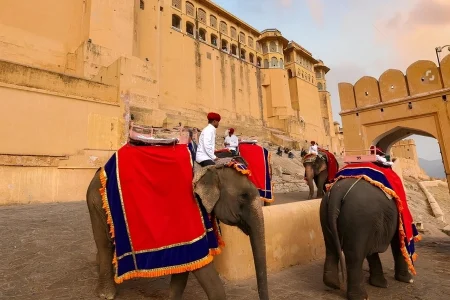 Udaipur Ranthambore & Jaipur Tour Package