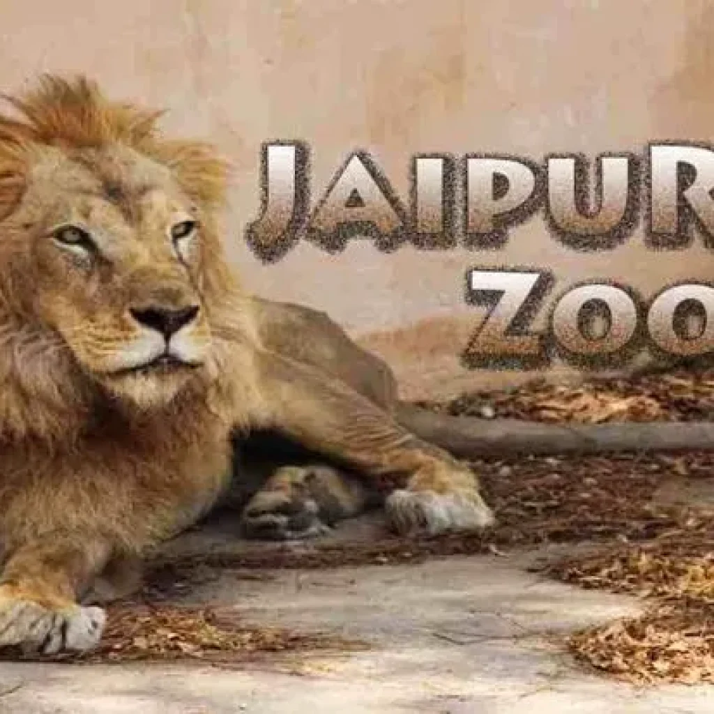 Jaipur zoo ticket price