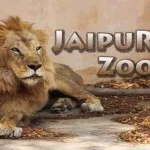 Jaipur Zoo Ticket Price, Timings, and Visitor Information