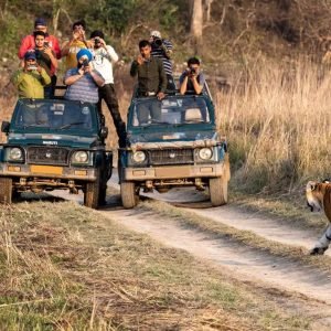 Book Our Jaipur Ajmer Ranthambore Tour Package for 5 Days Plan