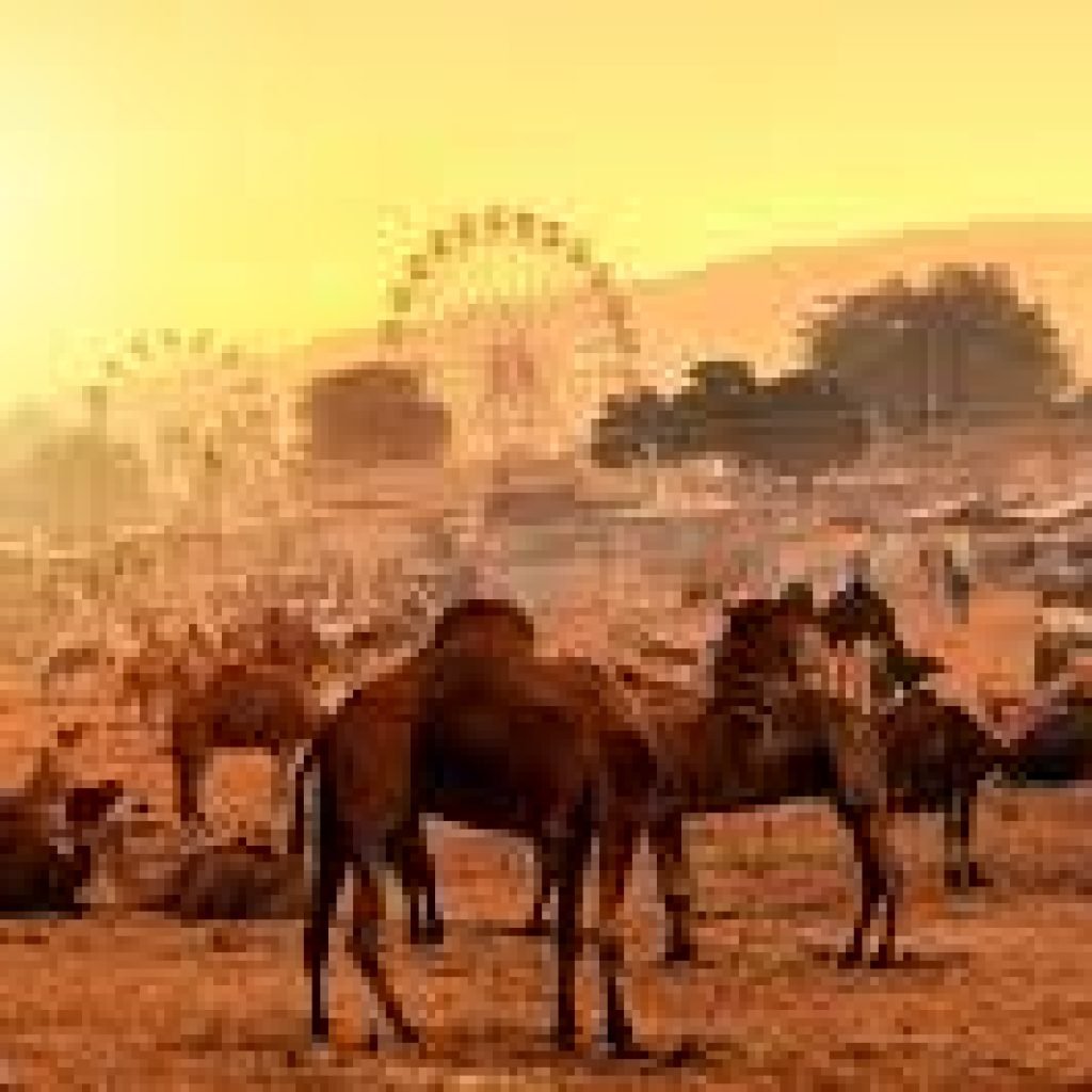 pushkar fair