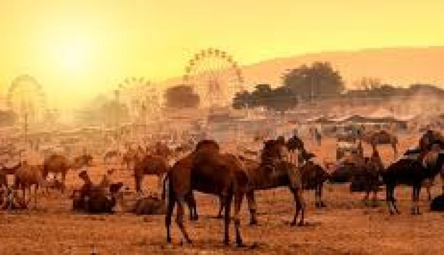 pushkar fair