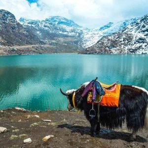 North Sikkim Tour Package from Gangtok