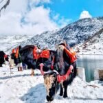 Gangtok Lachin lachung 6 Days