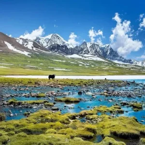 North Sikkim Tour Package: Explore Gangtok, Lachung & Lachen (6 days)