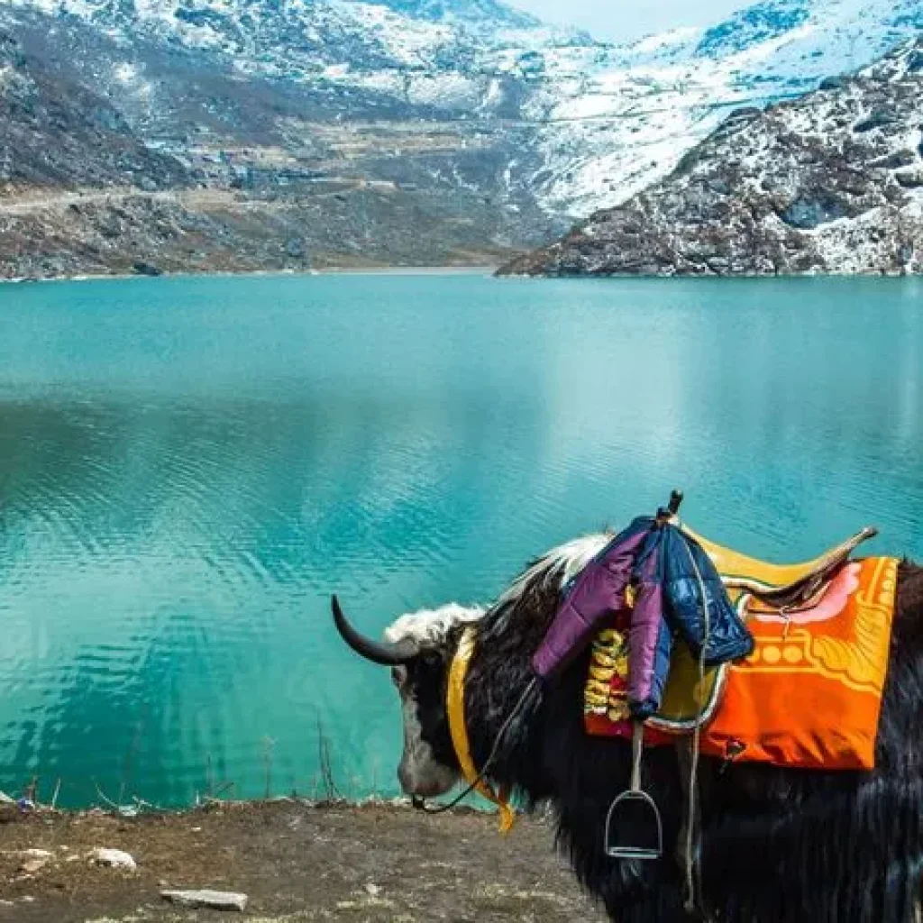 Darjeeling marika lake 4 daysq