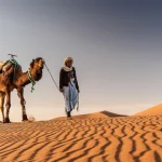 Camel Safari in the Desert