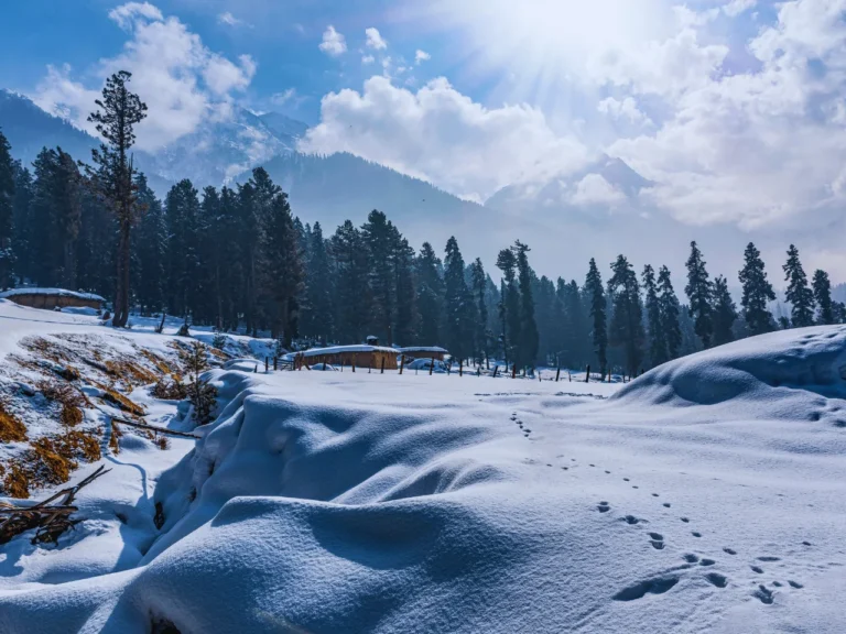 Best Budget Kashmir Tours Starting at ₹21499