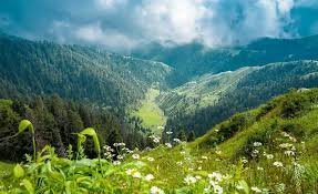 Top Dalhousie Tour Packages for 3 Days & 2 Nights - 3