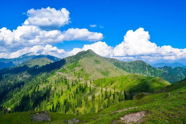 Best Srinagar Family Tour Package with Houseboat Stay