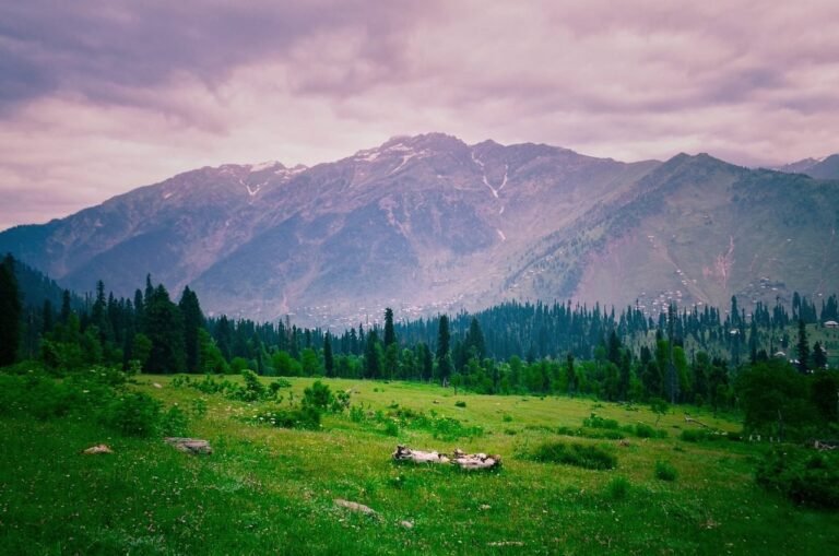 Best Budget Kashmir Tours Starting at ₹21499