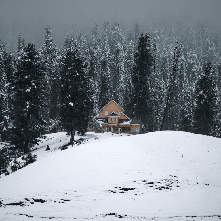 Kashmir Honeymoon Package for 7 days & 6 Night