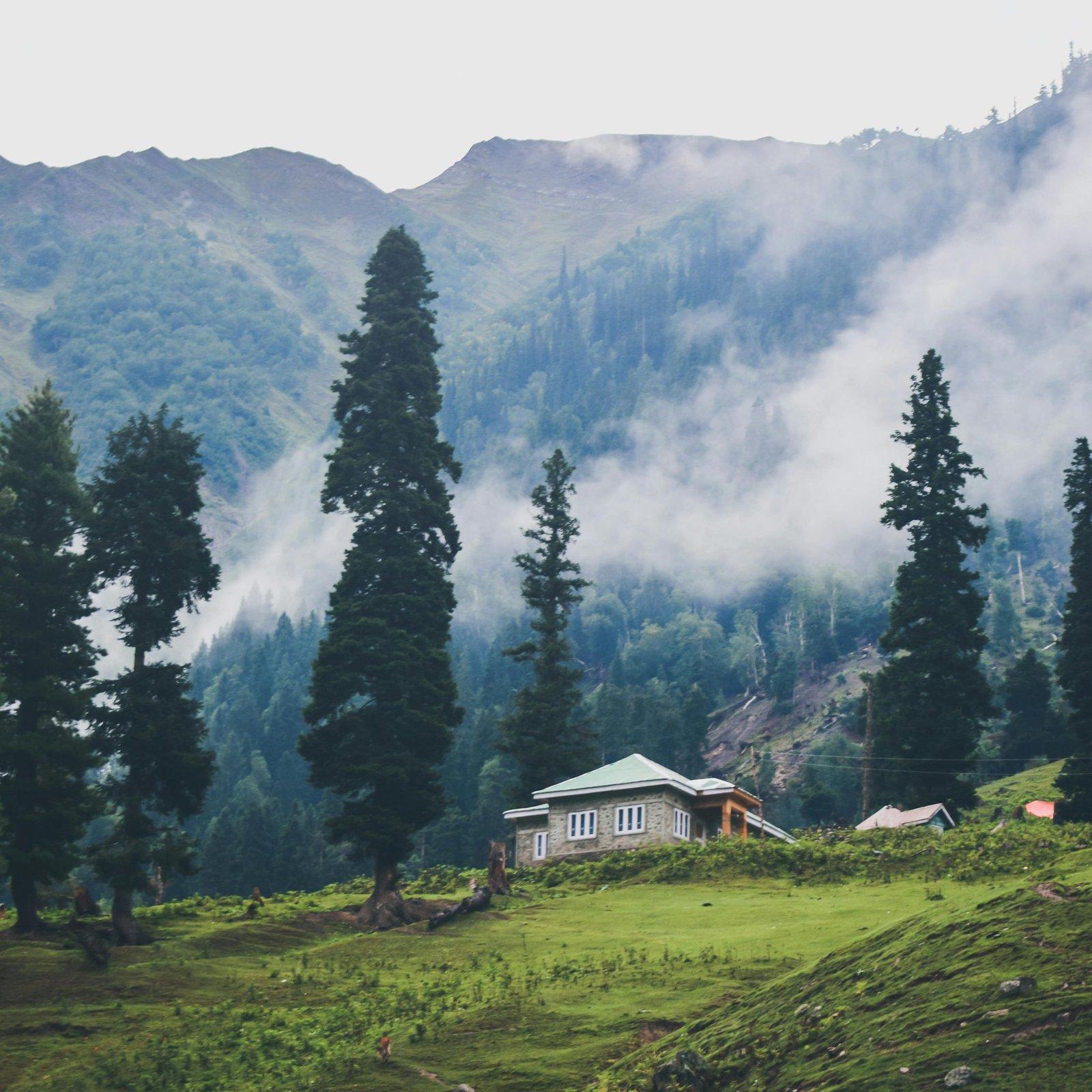 Kashmir Tour Package for Couple: Explore Srinagar, Gulmarg, Sonmarg & Pahalgam