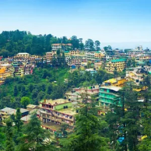 Shimla 3 Days Tour for Couples – Kufri & Scenic Adventures