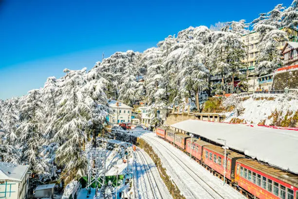 Shimla 4 Days Tour Package: Best Family Getaway to Kufri and Shimla