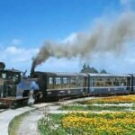 Darjeeling Tour Packages Under 10000