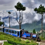 Darjeeling Himalayan Railway (Toy Train)