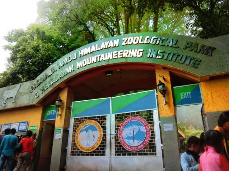 Padmaja Naidu Himalayan Zoological Park