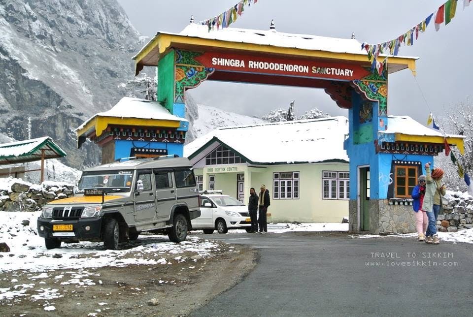 15. Shingba Rhododendron Sanctuary