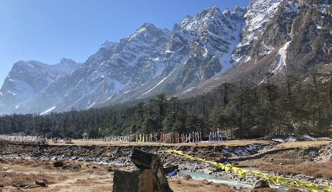yumthang valley 1