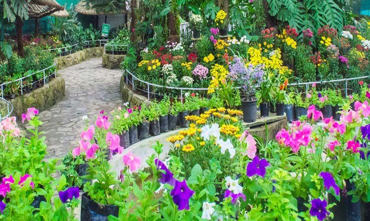 12. Flower Exhibition Centre