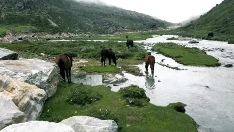 North Sikkim Package Tour Cost starting @13999