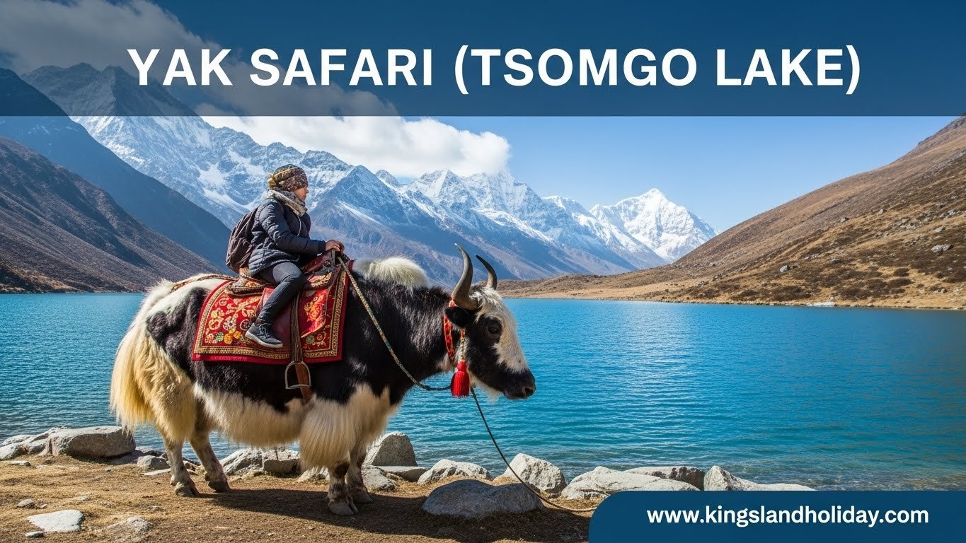 Yak Safari