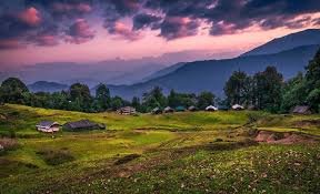 chopta valley 2