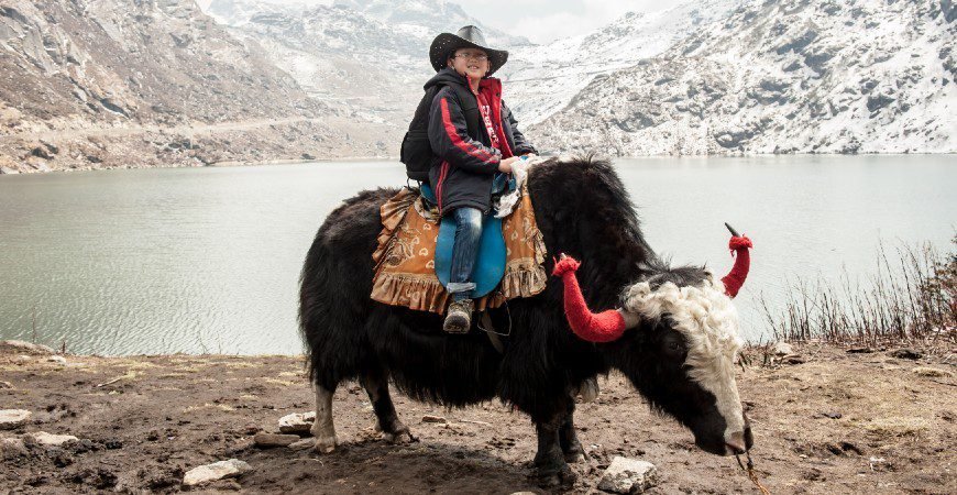 23. Yak Safari (near Tsomgo Lake)