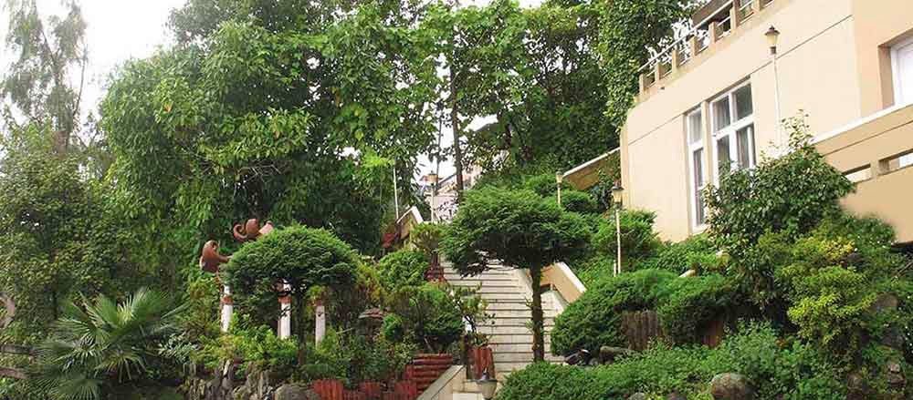 Darjeeling Tour Packages 4 Days Price Start @10600 - 2