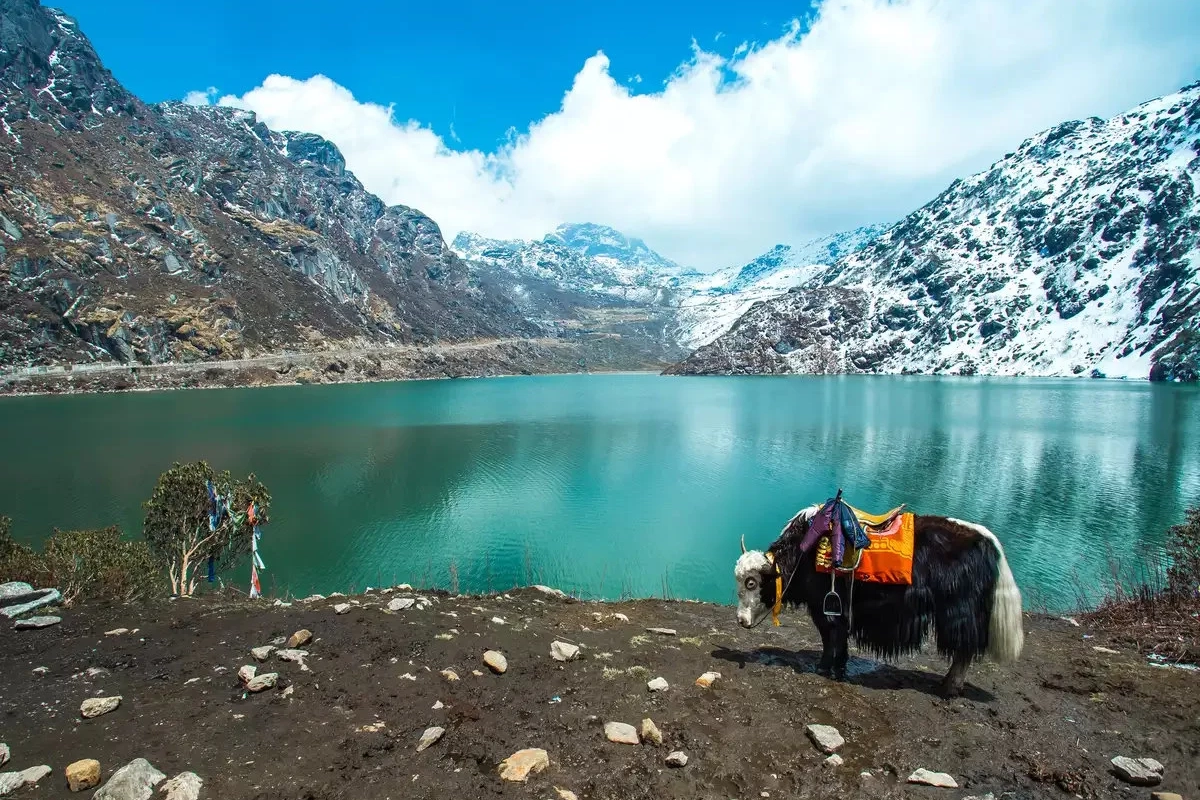 Darjeeling tour package cost @7200 | Book Now! - 1