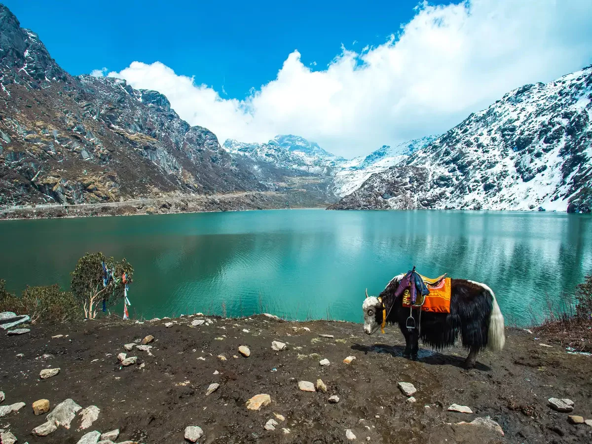 Darjeeling tour package cost