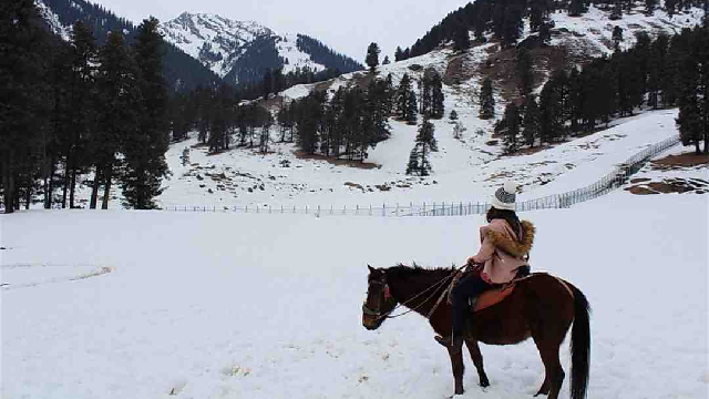 Pony Ride in Sonmarg