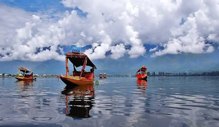 Shikara Ride on Dal Lake