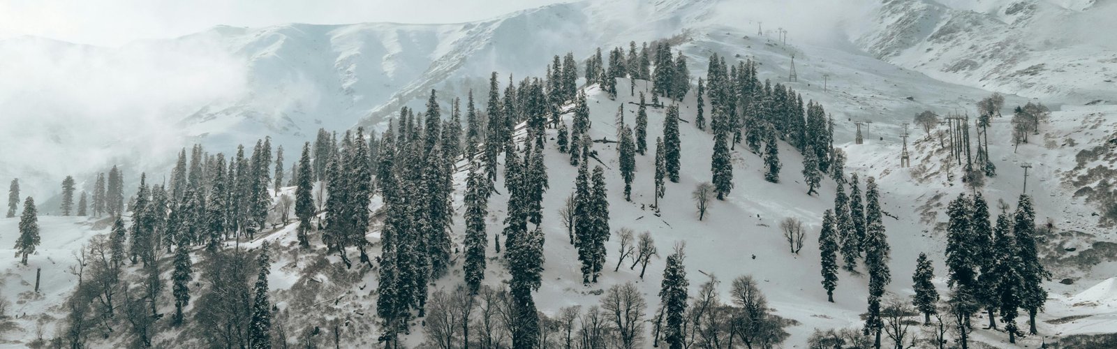 Srinagar Gulmarg Pahalgam Tour Packages for 4 Days - 1