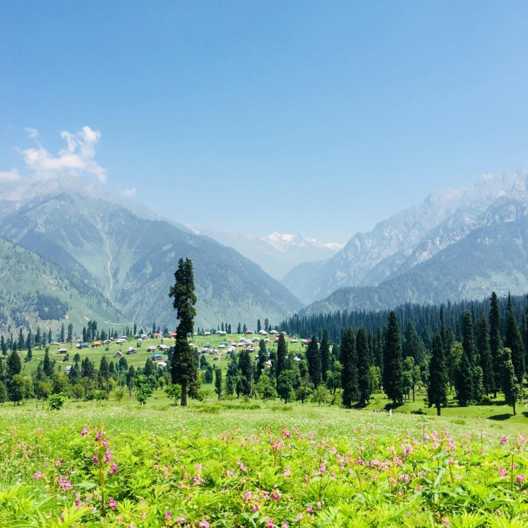 Gulmarg Kashmir Tour Package for 8 Days @24000