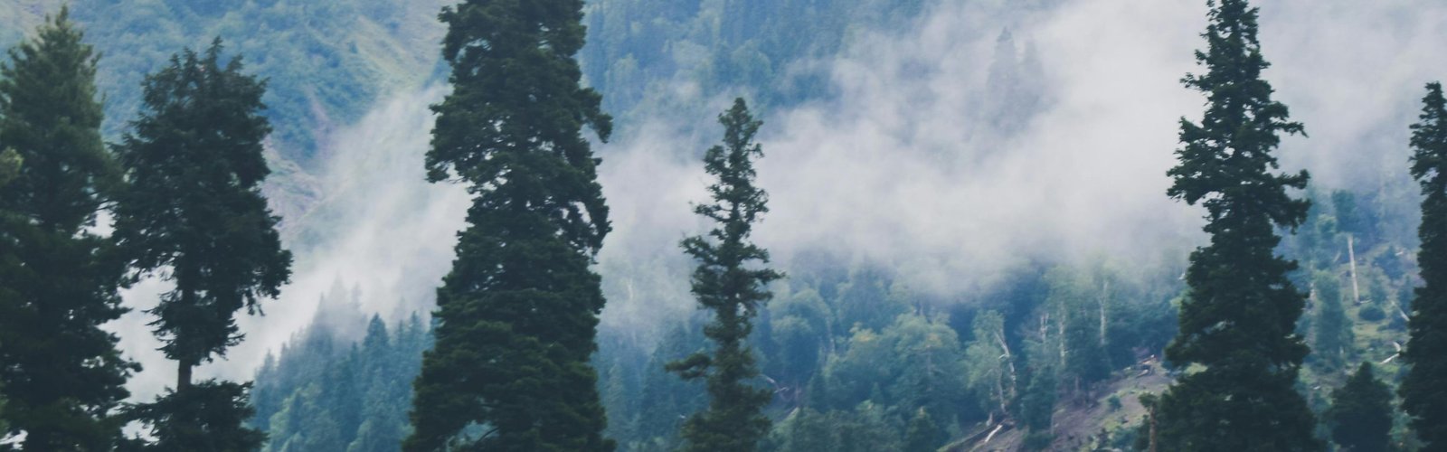 Kashmir Tour Package For Couple | Get Best offer - 1