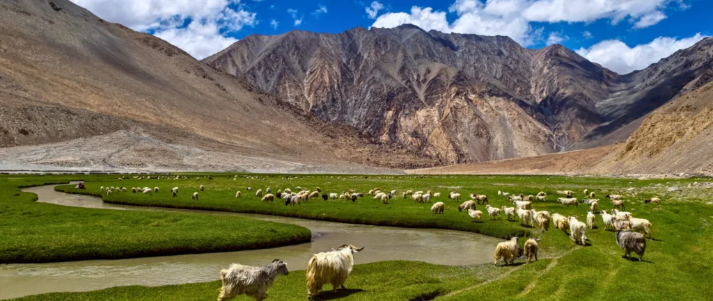 Leh Ladakh tour packages for couple