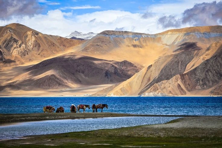 leh Ladakh Tour Packages