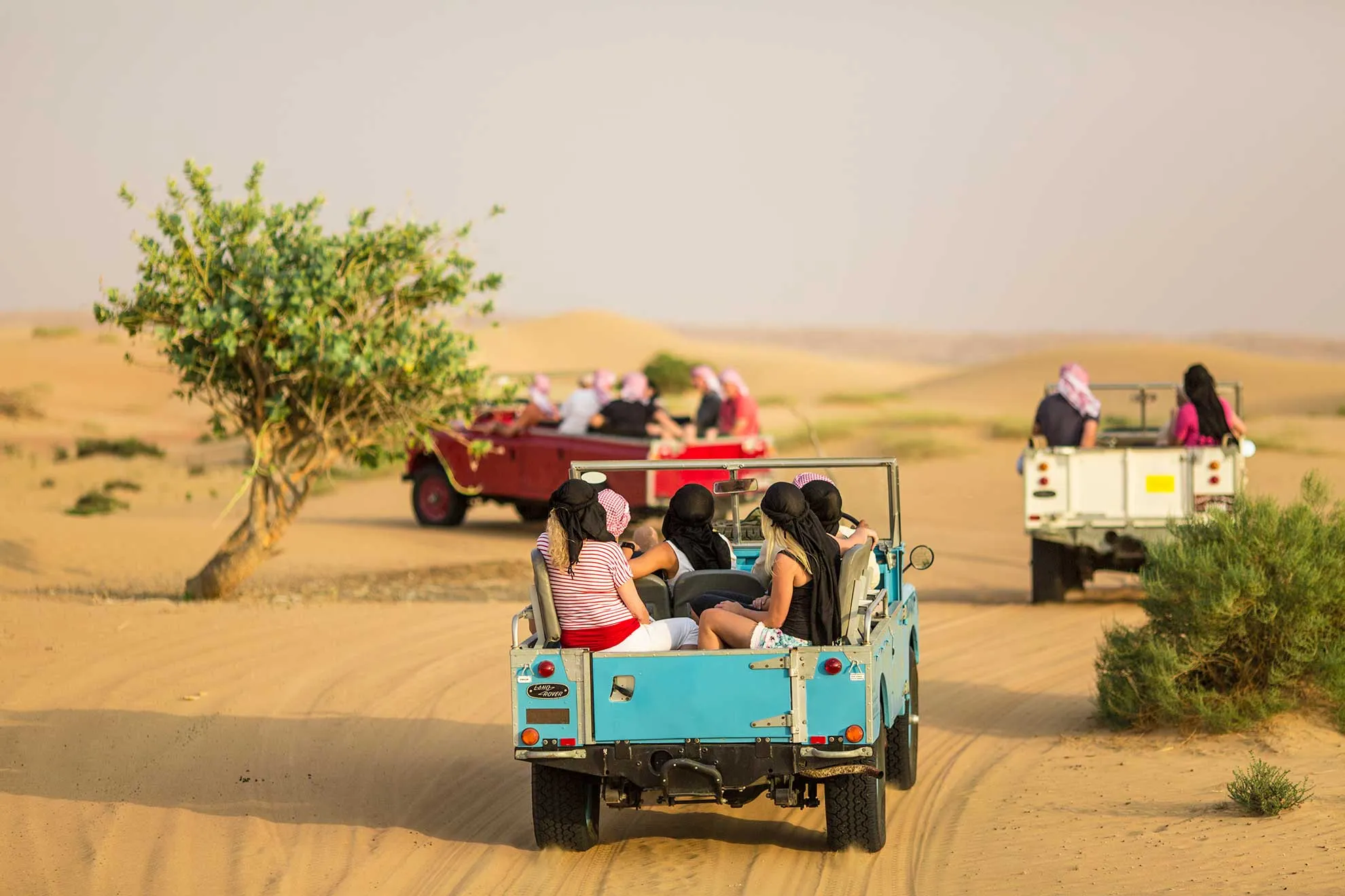 Jodhpur tour Package with Safari