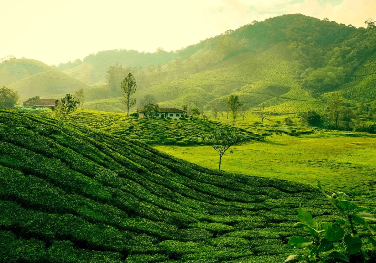 Kerala