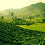 Kerala