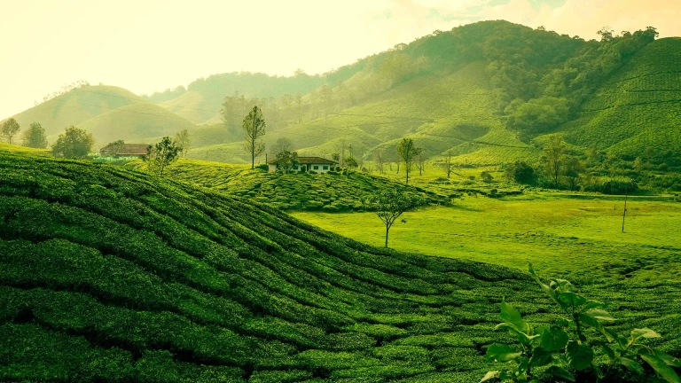 Kerala